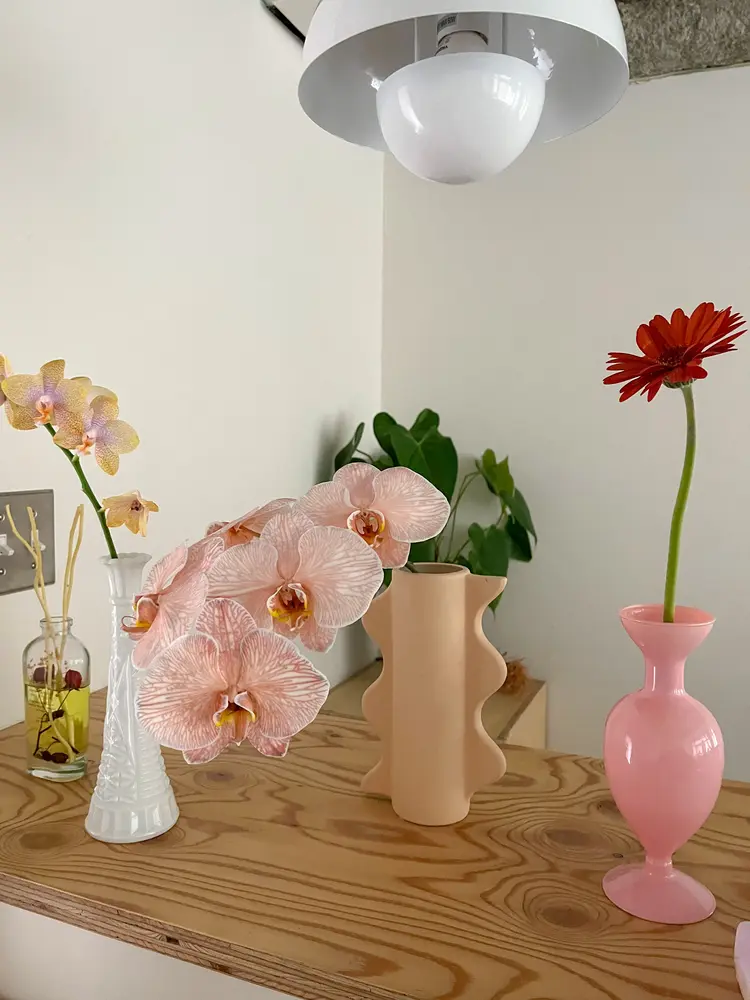 SOの内観・外観2