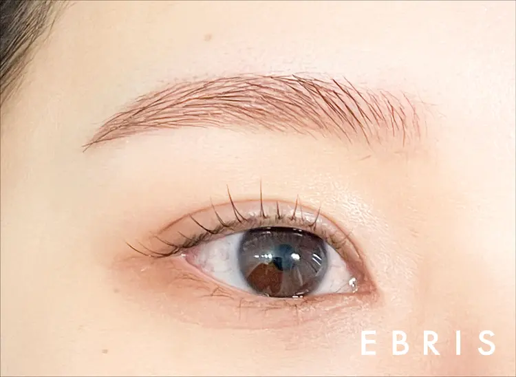 EBRISの内観・外観3