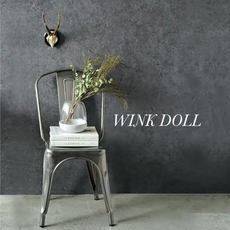 WINK DOLLの内観・外観1