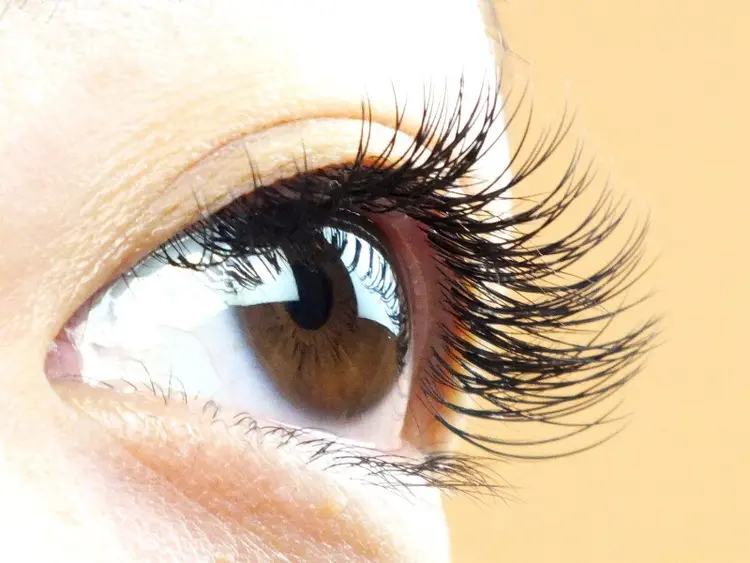 ROCCO BEAUTYの内観・外観2