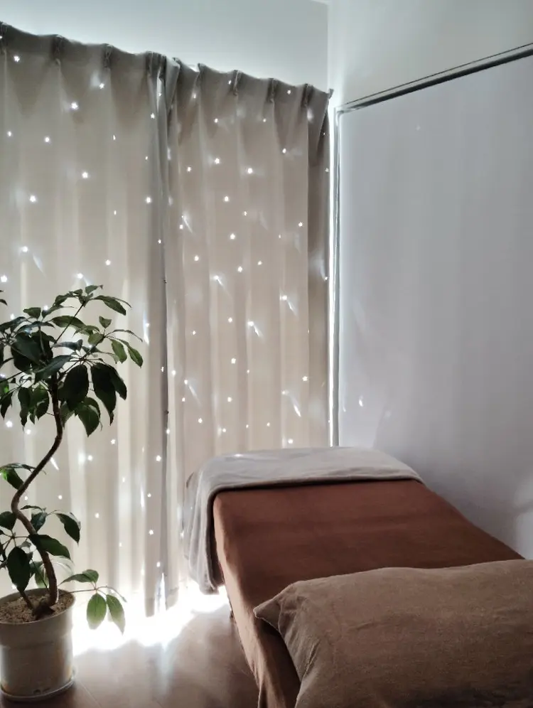 TwinKle Star_theSPAの内観・外観1