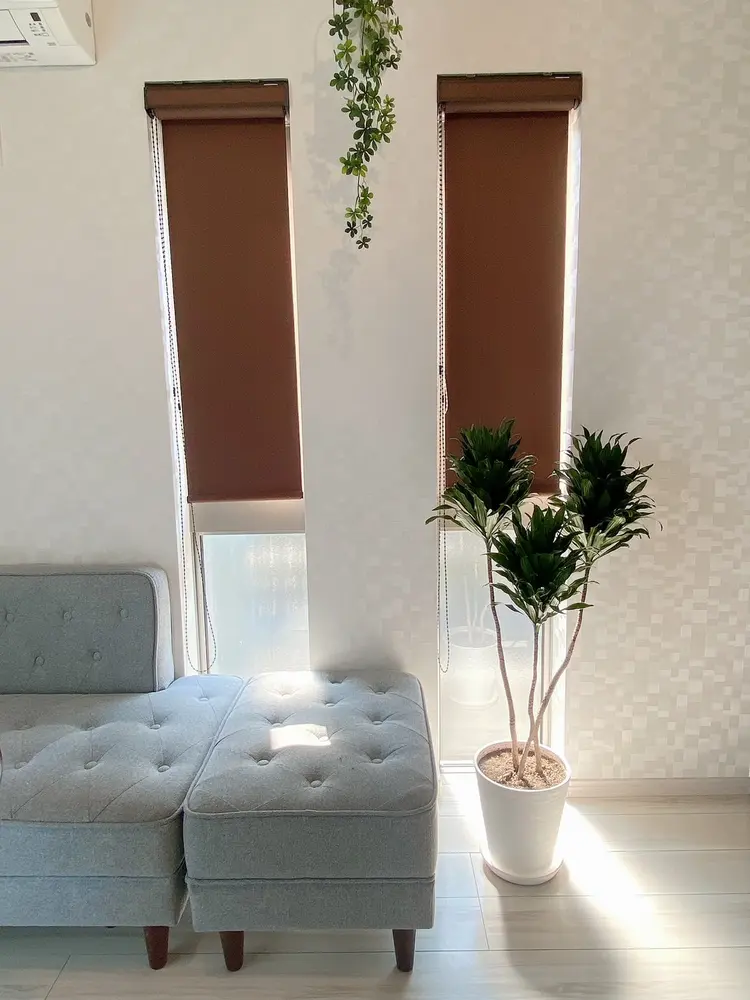 fleurの内観・外観1