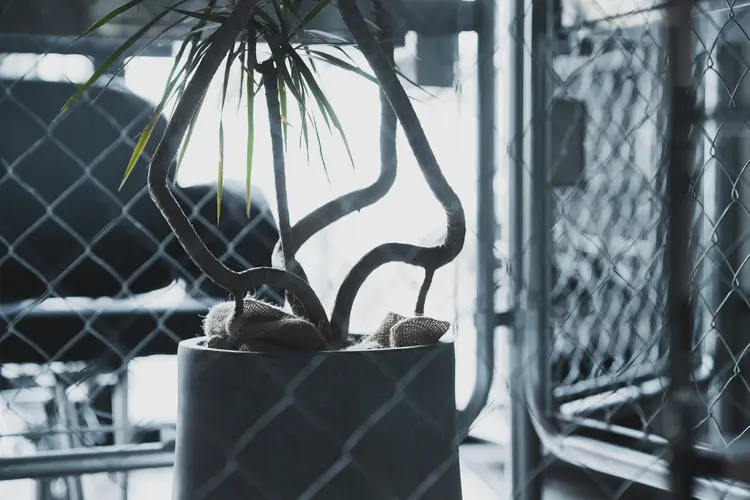 999【すりーないん】の内観・外観2