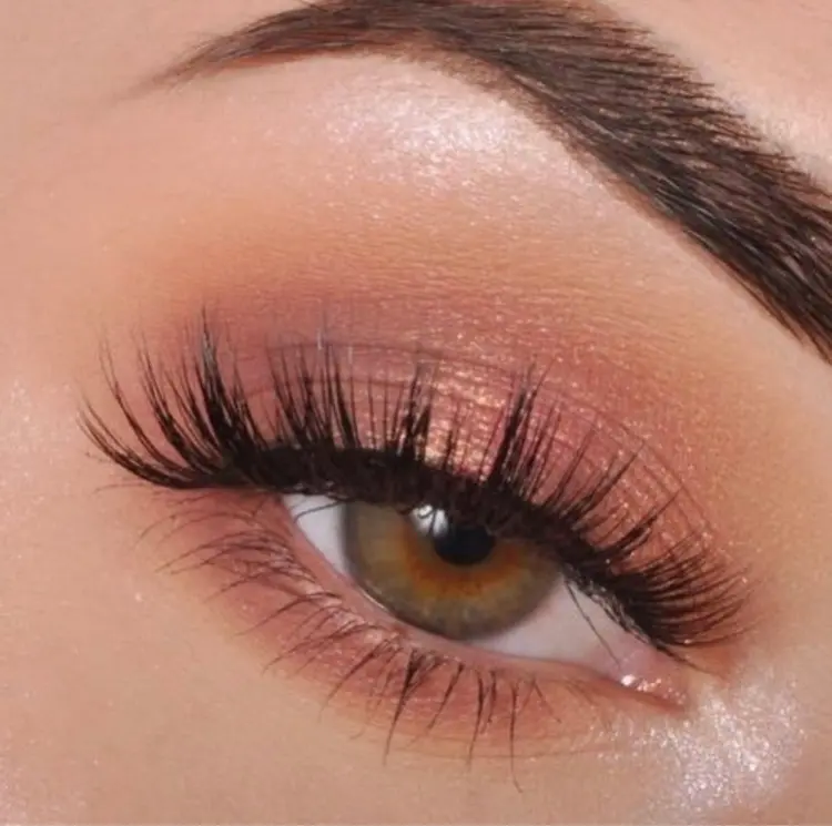 MELREVEの内観・外観3