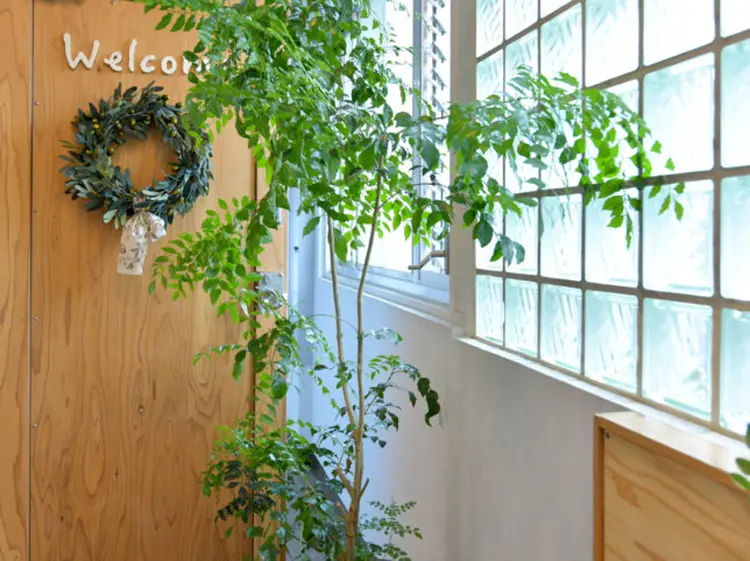 HairMS.の内観・外観2