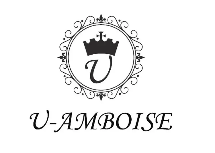 U-AMBOISEの内観・外観1
