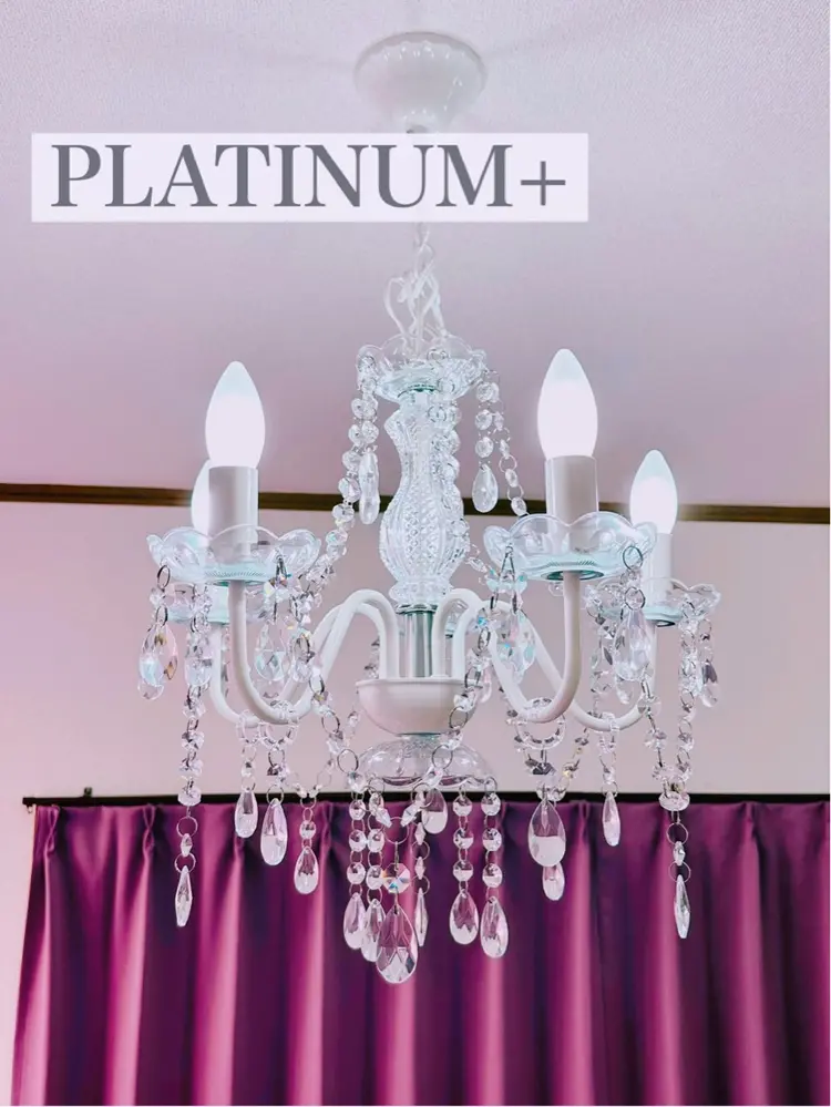 PLATINUM+の内観・外観1