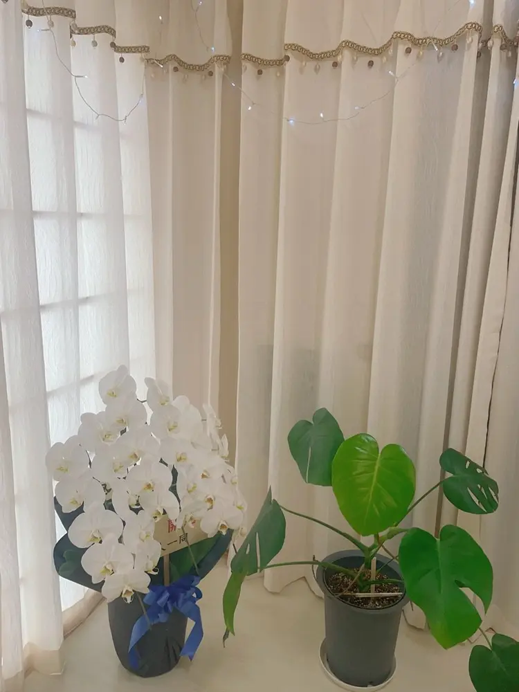 NANA  nailsalonの内観・外観3