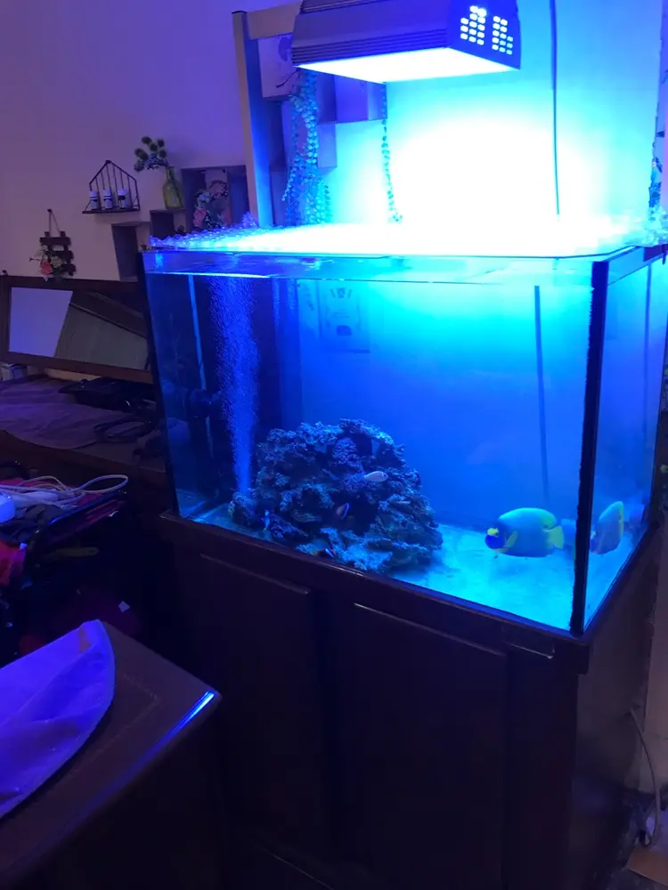 ヘアーメイク　　シンの内観・外観1