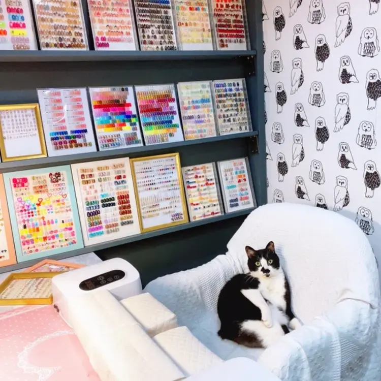 Beau're nailの内観・外観1