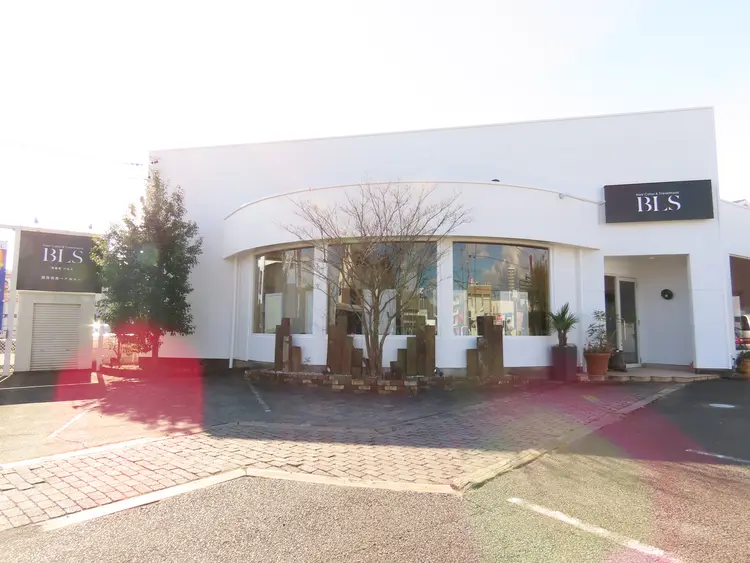 BLSの内観・外観2