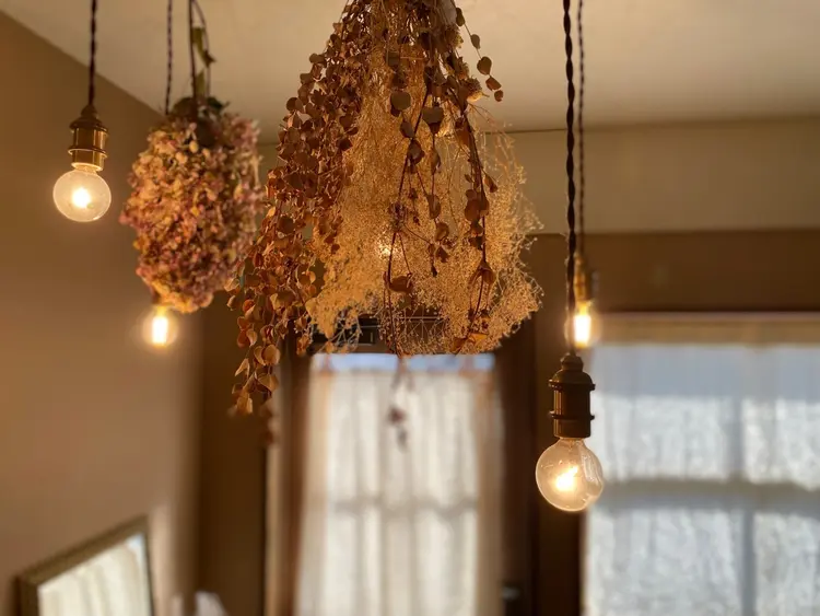 Eyelash Salon Daisyの内観・外観3