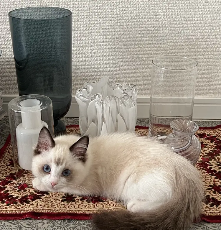 nail salon yoiの内観・外観2