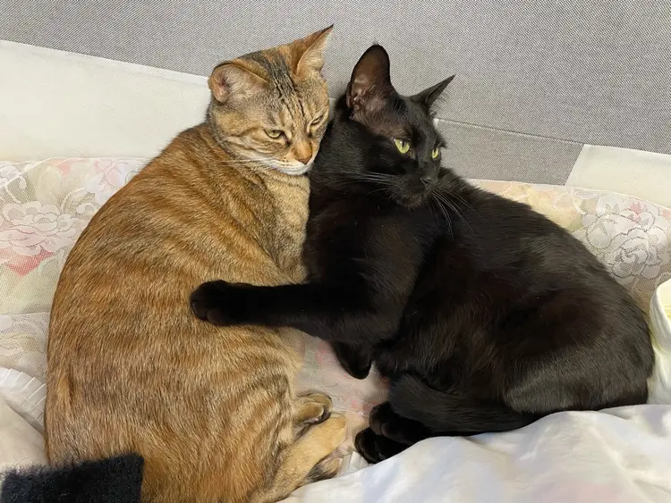 エンの内観・外観3