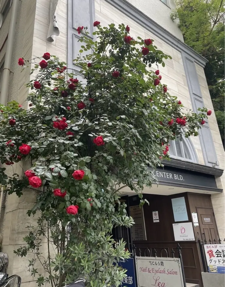 ネイルサロンダイアモンドの内観・外観1