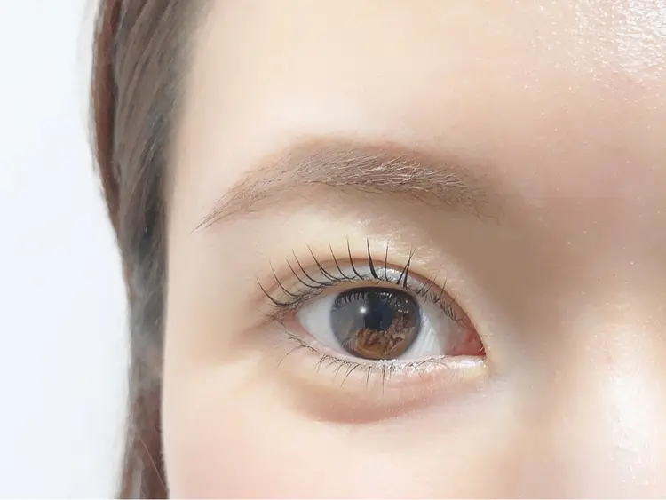 Fiaraの内観・外観3