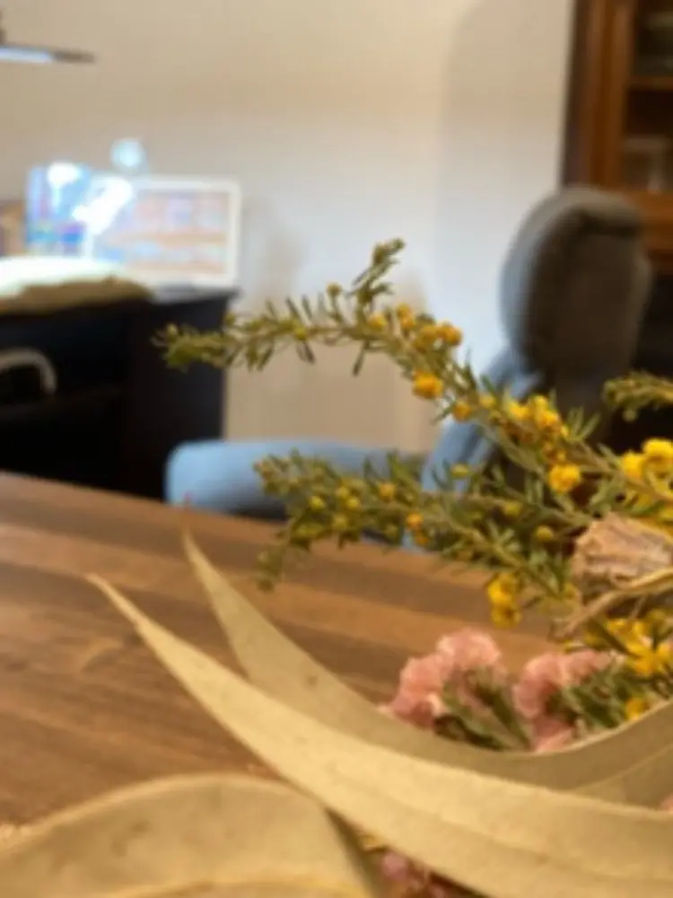 usagi nailの内観・外観2