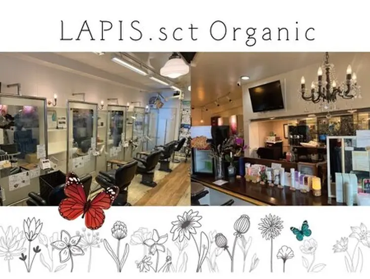 LAPIS.sct organic南一の沢店の内観・外観3
