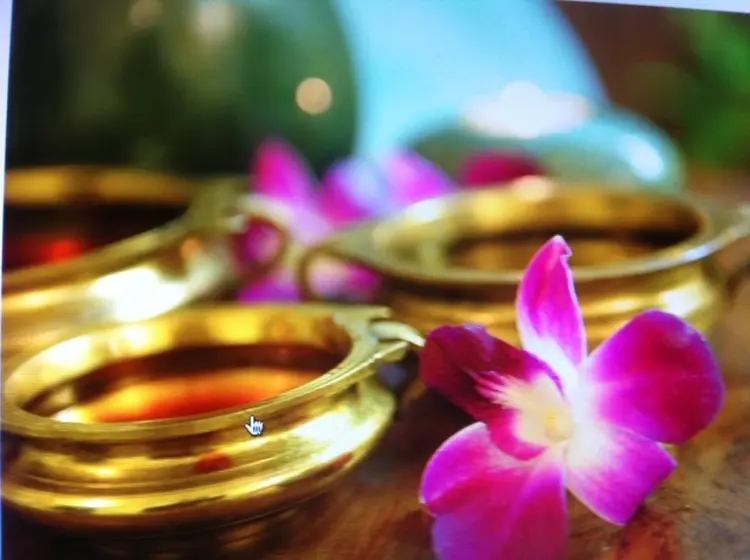 アーユルヴェーダ専門店サラージュの内観・外観2