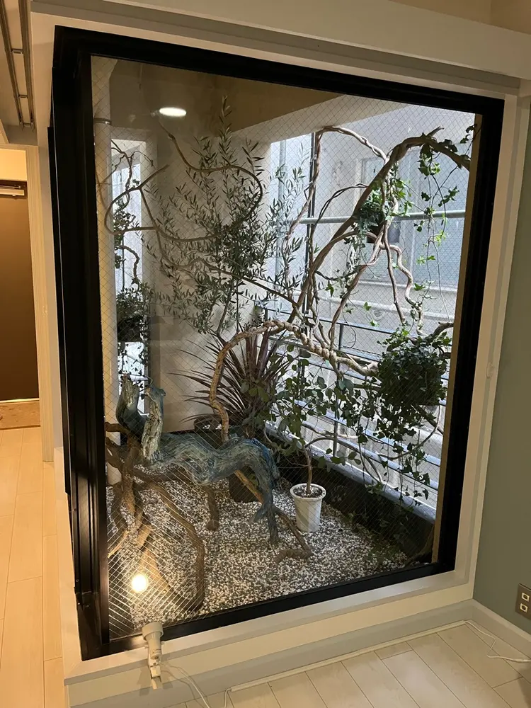 まつ毛パーマ&アイブロウ眉毛サロン 紬麦 - tsumugi 下北沢店の画像