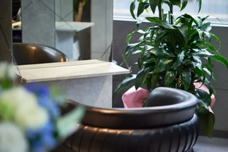 Violus by Posh GINZAの内観・外観3