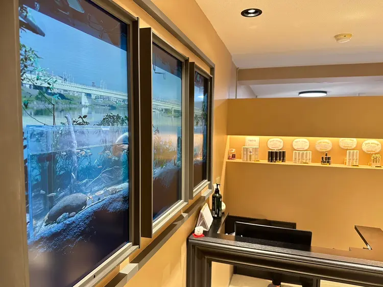 Ayumi. eyelash salonの内観・外観2