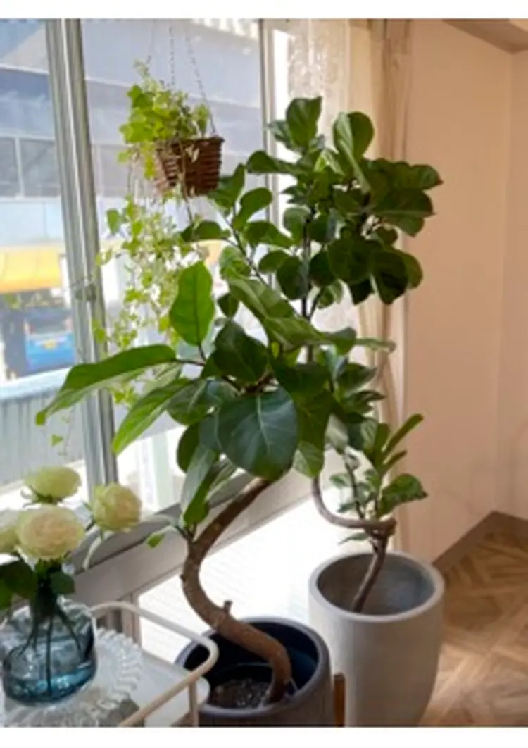 HAY eyelash&care ヘイアイラッシュアンドケアの内観・外観2