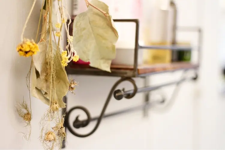 Rely Bondsの内観・外観3