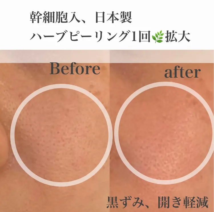 シャルトルズ恵比寿店の内観・外観2