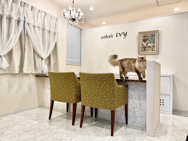 エステティックivyの内観・外観1