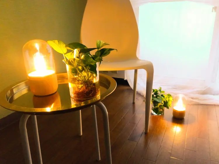 The Treatment by Nの内観・外観2