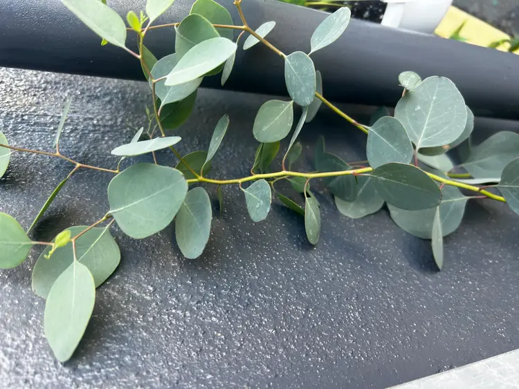 肌育専門SOLA＋の内観・外観3