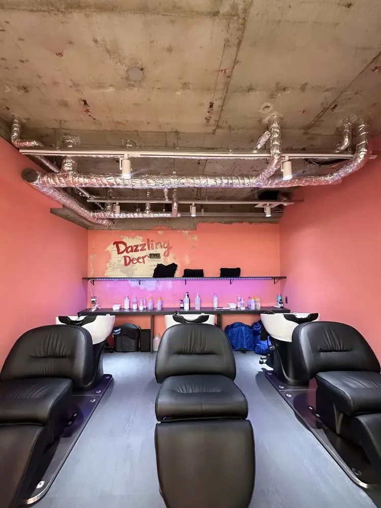 Dazzling Deerの内観・外観2