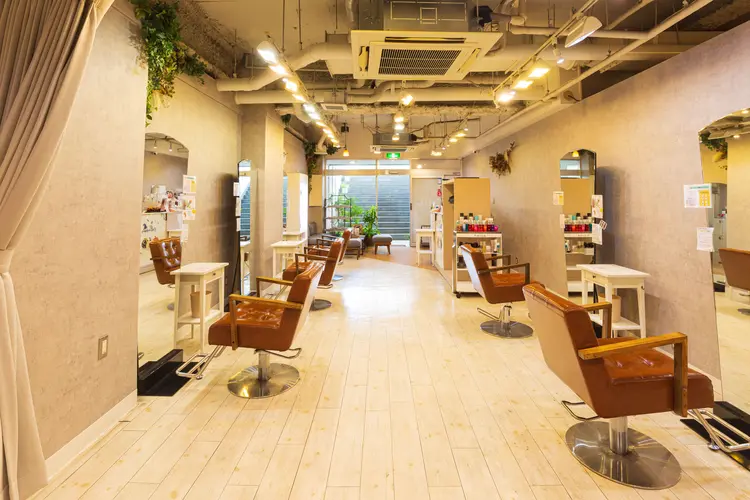 RAPT bisの内観・外観3