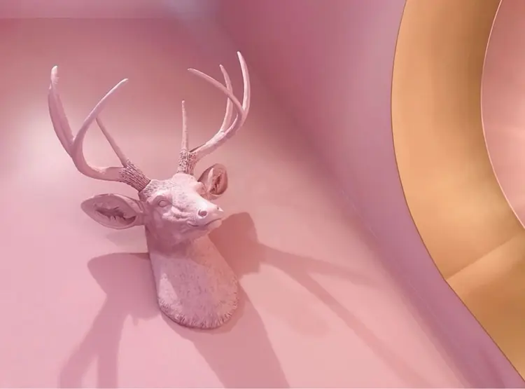 fishの内観・外観3