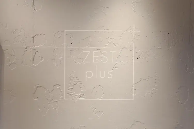 ZEST plusの内観・外観2