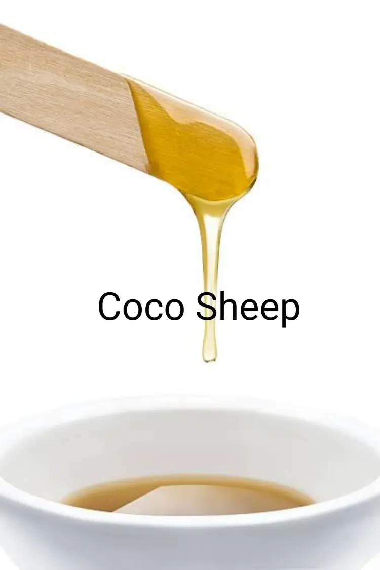 Coco Sheepの内観・外観1