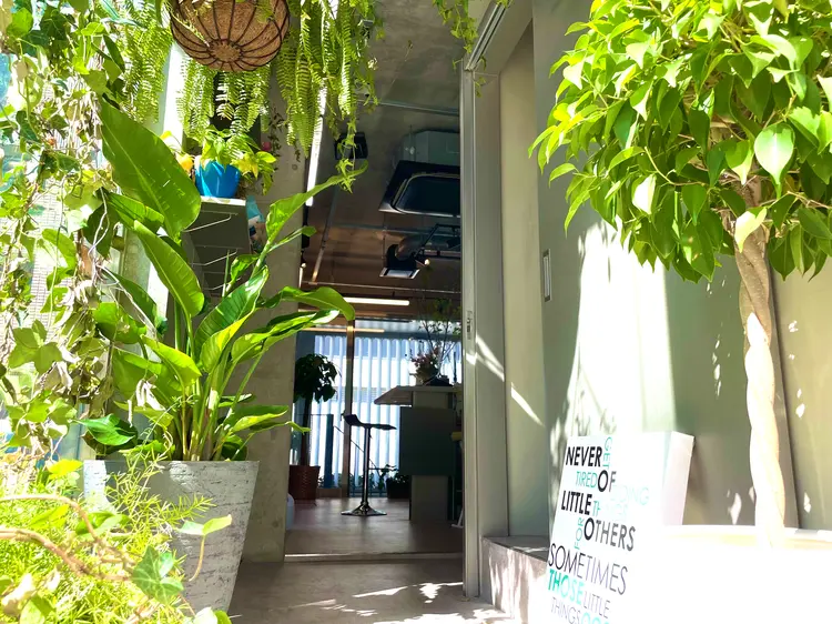 Forest Mirrorの内観・外観1