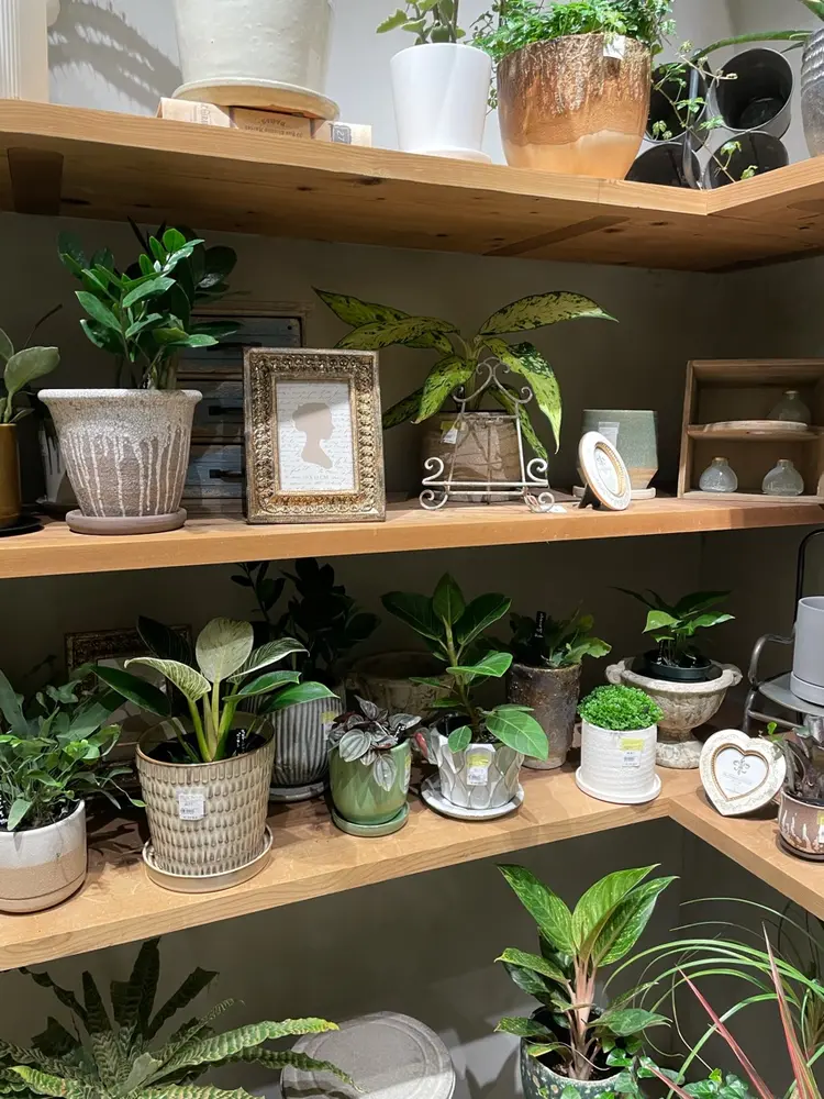 ricottaの内観・外観3