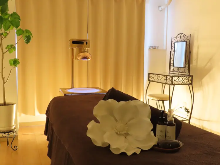 Siestaの内観・外観1