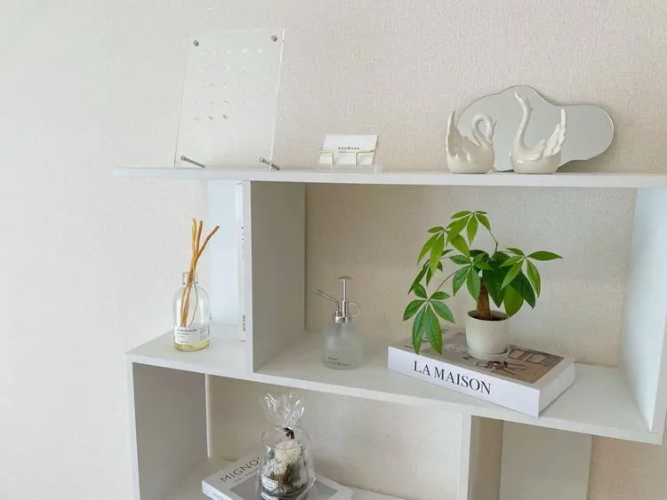 AneMoneの内観・外観1