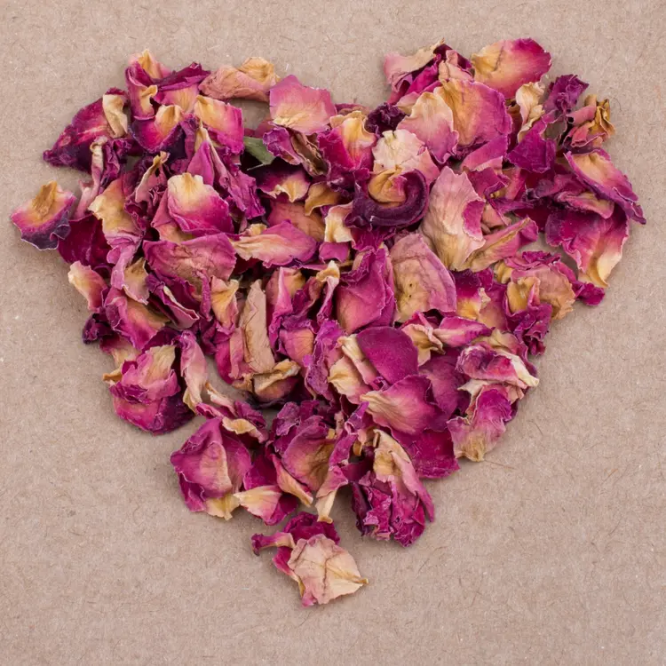 Napの内観・外観3