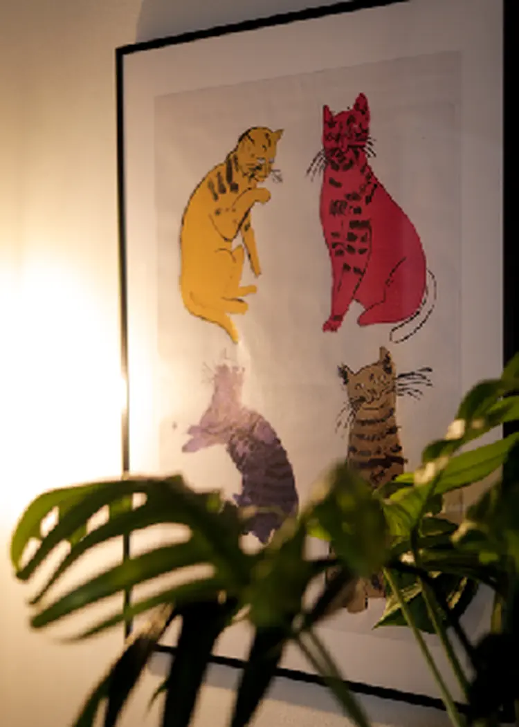 Veluriya Beauty Designの内観・外観1