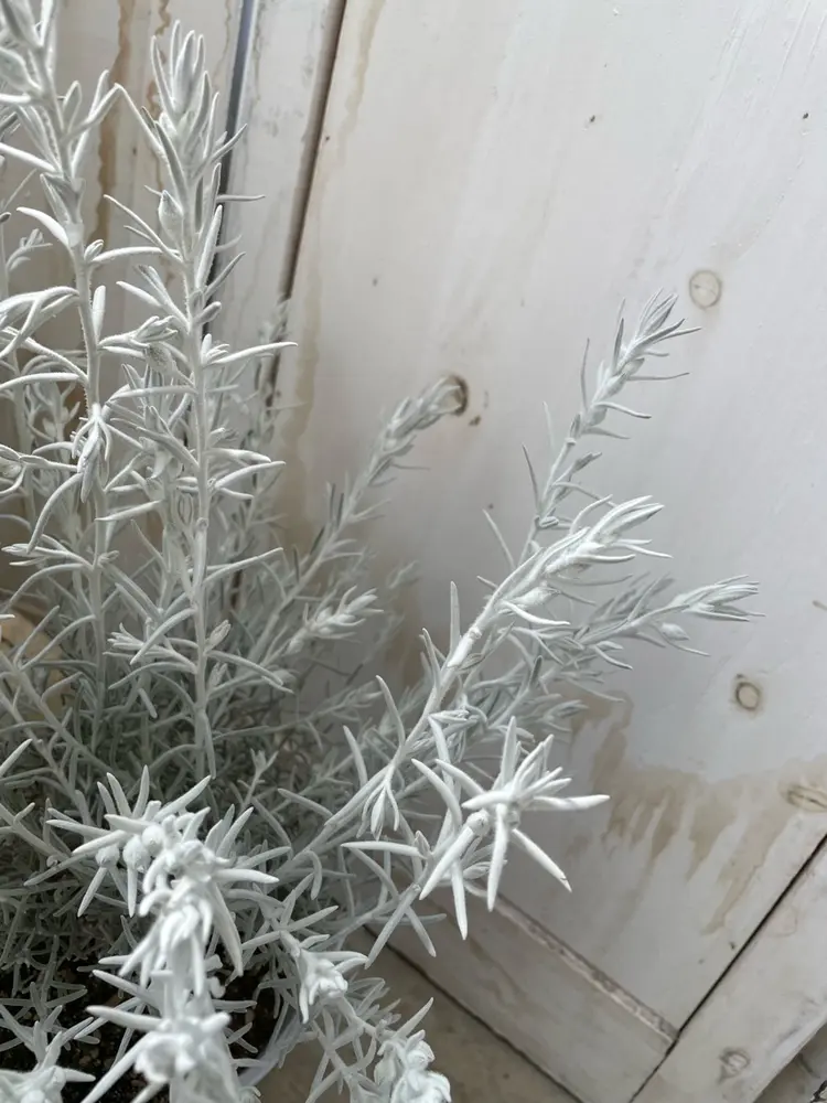 coppe panの内観・外観1