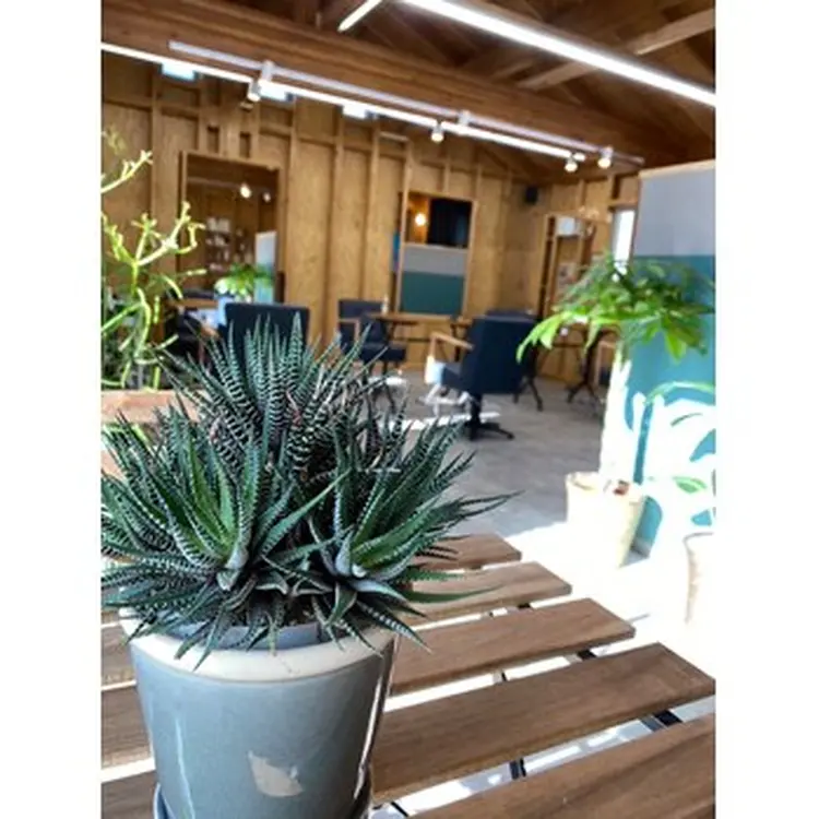 afternews(アフターニュース)の内観・外観3