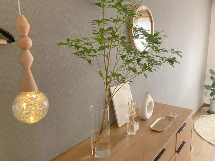 Lieto roomの内観・外観3