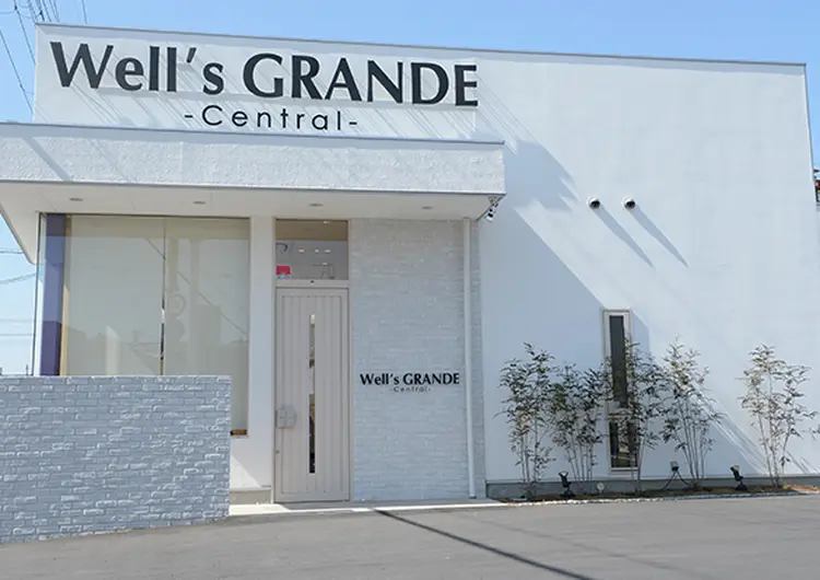 Well's GRANDE centralの内観・外観1