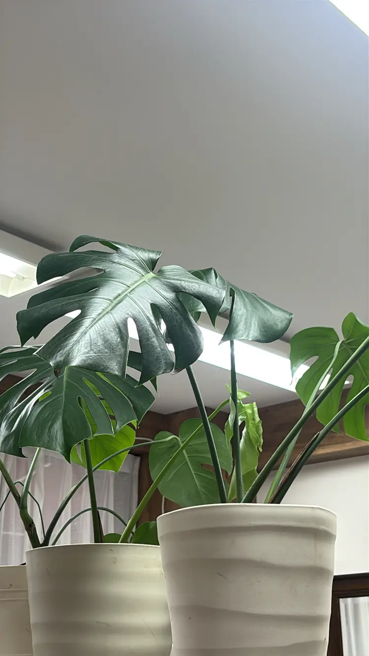 nail salon flying sheepの内観・外観2