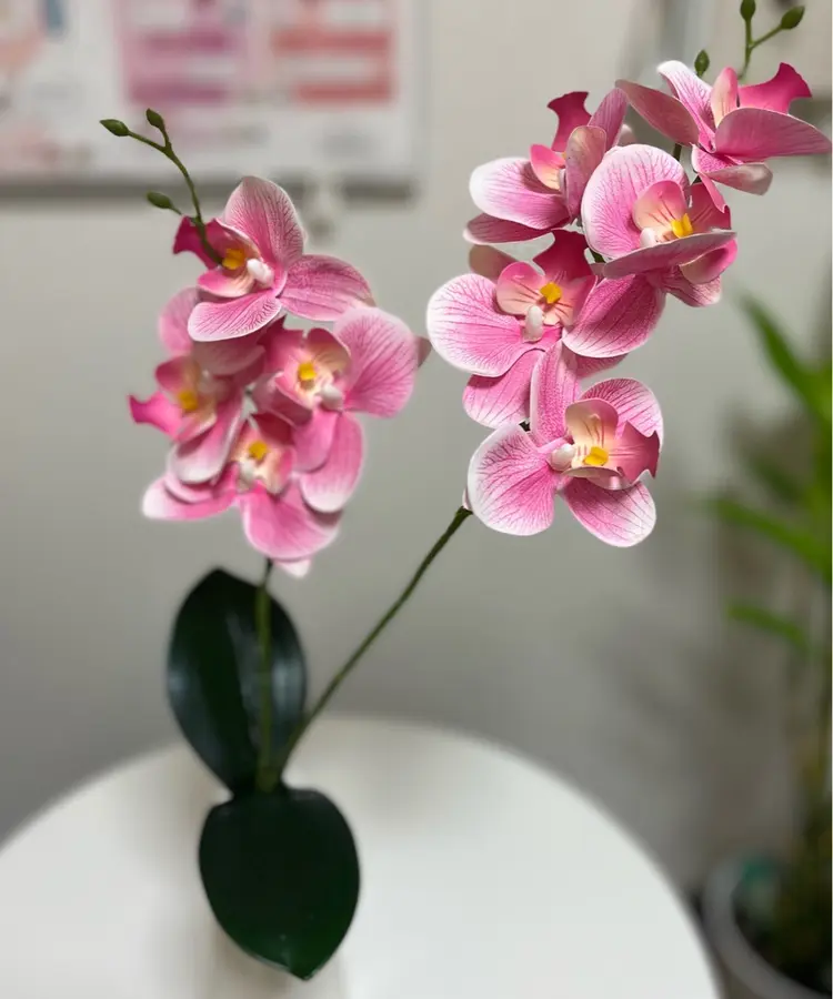 Esthetic Salon Renaの内観・外観3