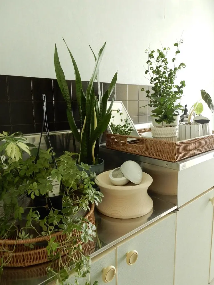 elephaneの内観・外観2